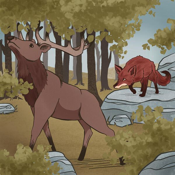 The Fox Fable
